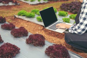 Landscaping project data California for landscape contractor leads and landscaping leads